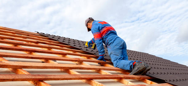 Best Chimney Flashing Repair  in Smyrna, TN